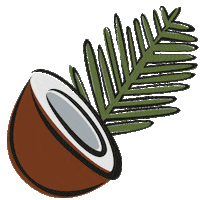 Fun Coco Sticker by Nazca Cosméticos
