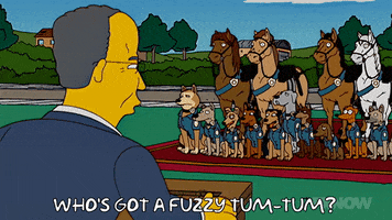 Season 18 Dogs GIF by The Simpsons
