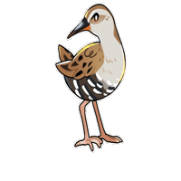 Bird 鳥 Sticker