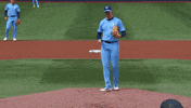 Blue Jays Baseball GIF by Toronto Blue Jays