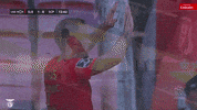 Sl Benfica Hug GIF by Sport Lisboa e Benfica