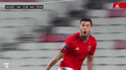 Celebrate Sl Benfica GIF by Sport Lisboa e Benfica