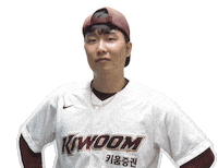 Wink Sticker by Kiwoom Heroes Baseball Club