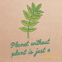 Plant GIF by umwelthessen