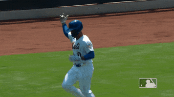 Celebrate Ny Mets GIF by New York Mets