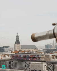 visitbrussels look view tourism tourist GIF