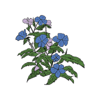 foilme flowers wildflower foil me foilme Sticker