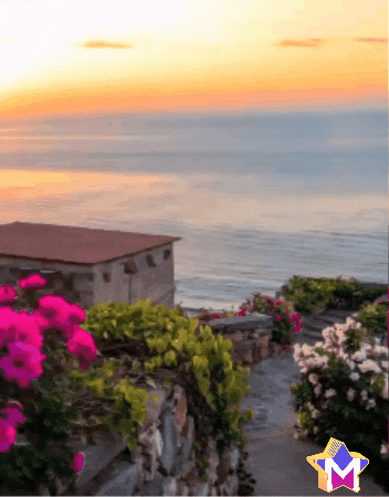 Feliz Sol GIF by Murcianys LLC