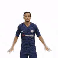 Premier League Football GIF by Prime Video
