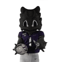 Fort Worth Football Sticker by TCU Athletics