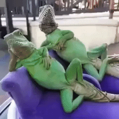 Mood Wow GIF by JustViral