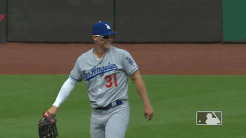 major league baseball sport GIF by MLB
