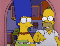 homer simpson episode 22 GIF