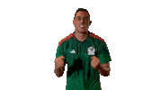 Celebrating World Cup Sticker by MiSelecciónMX