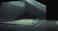 Tilda Swinton Memoria GIF by TIFF