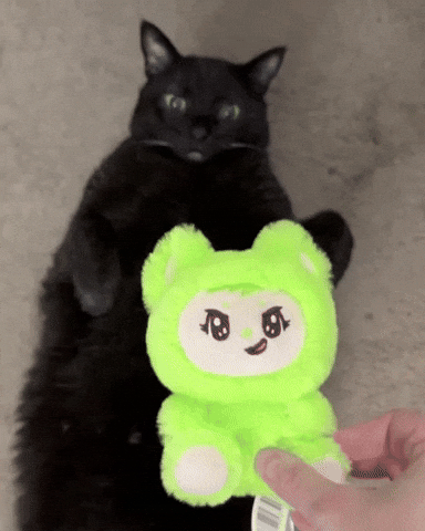 mannycat black cat labubu playful cat black cat love GIF