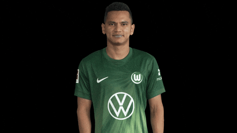 Happy Party GIF by VfL Wolfsburg