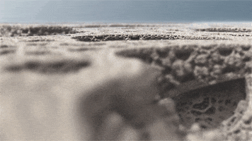 thefractalist psychedelic scifi fractals GIF