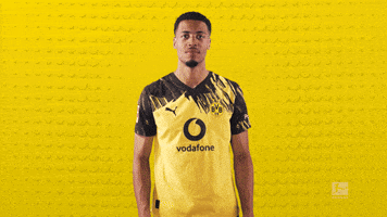 Keep Going Borussia Dortmund GIF by Bundesliga