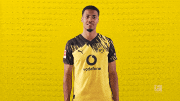 Borussia Dortmund Thumbs Up GIF by Bundesliga