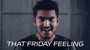formula one f1 GIF by Engineered Insanity