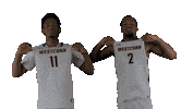 Westconnmbb Sticker by WCSU