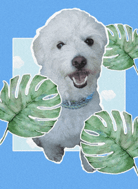 Camiladc88 digitalart visualart digitalcollage animatedphotography GIF