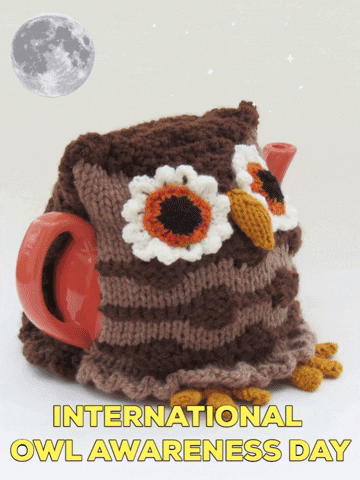 Night Owl GIF by TeaCosyFolk