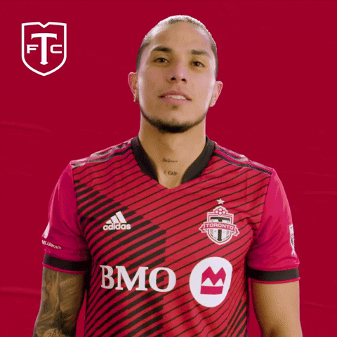 Major League Soccer No GIF by Toronto FC