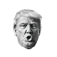 Donald Trump Sticker by HOPE not hate