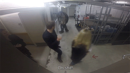 chris pratt prank GIF by Digg
