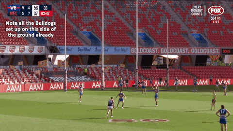 GoPies giphyupload GIF