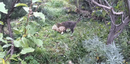 GIF by Mashable