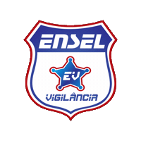 enselvigilancia STV ensel volpato enselvigilancia Sticker