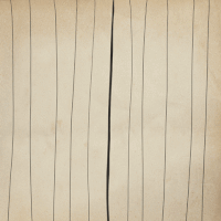 animation cat GIF by sunxinbiu