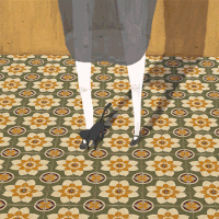 animation cat GIF by sunxinbiu