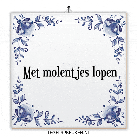 Nl Wijsheid GIF by Tegelspreuken.nl