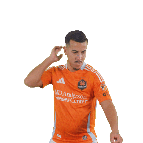 Season 20 Celebration Sticker by Houston Dynamo FC