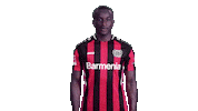 Bayer 04 Football Sticker by Bundesliga