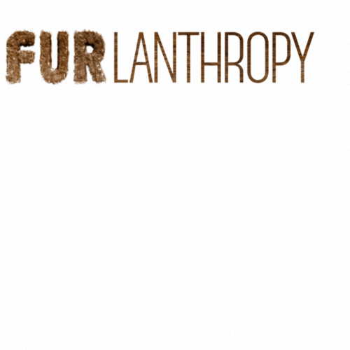 Furlanthropy charity pawsforacause furlanthropy petcrowdfunding GIF