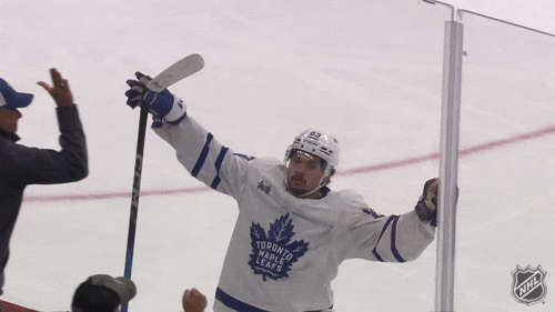 Happy National Hockey League GIF by NHL
