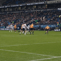 Sport Soccer GIF by Bolton Wanderers FC