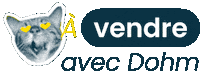 Immobilier Vente Sticker by Dohm