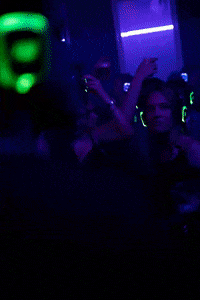 Party Dancing GIF by RGB Disco