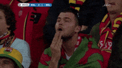 euro 2016 GIF by Sporza
