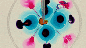 feel it still tidal wave GIF by Portugal. The Man