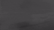 Black And White Video GIF by Sharon Van Etten