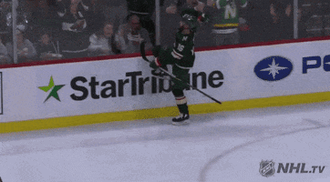 happy ice hockey GIF by NHL