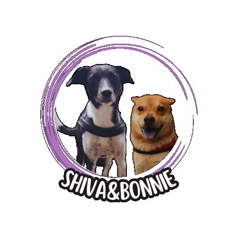 Dogsmind Sticker by Asilo per cani Dog'sMind