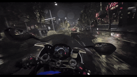 giphy.gif